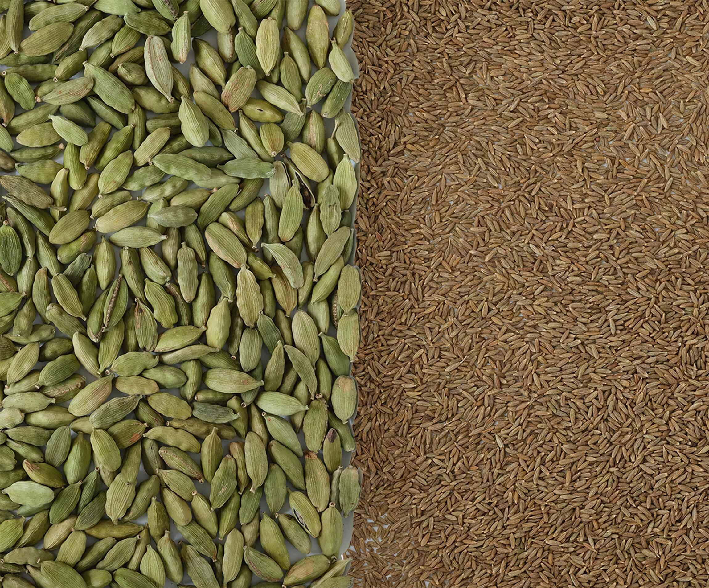 日本酒に合うクミンとカルダモンのつまみ