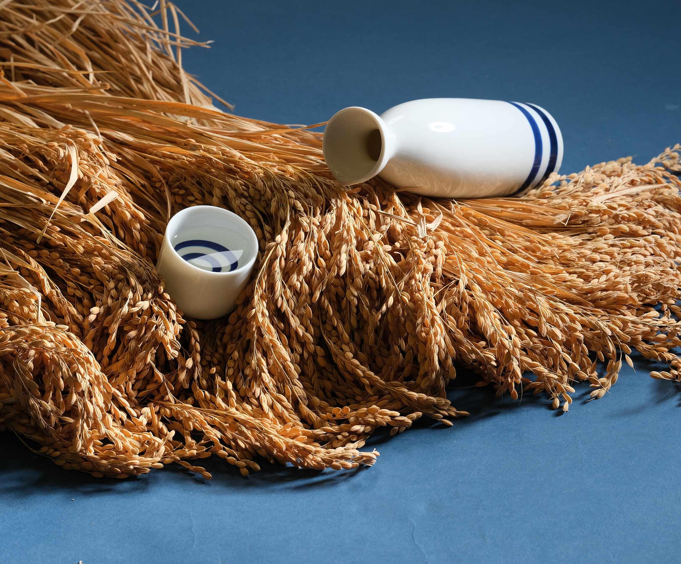 酒米を知れば、日本酒がもっと楽しく！