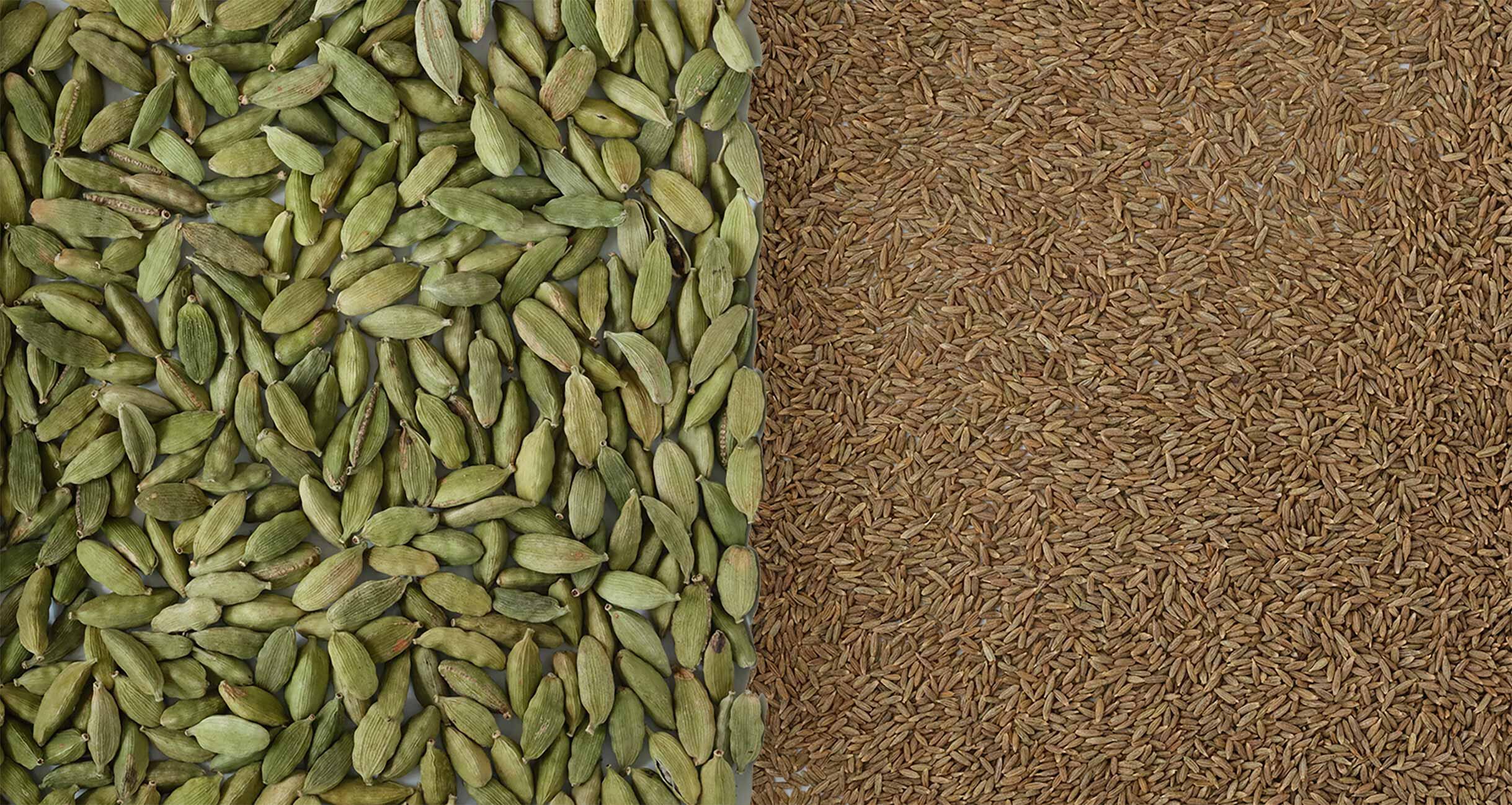 日本酒に合うクミンとカルダモンのつまみ