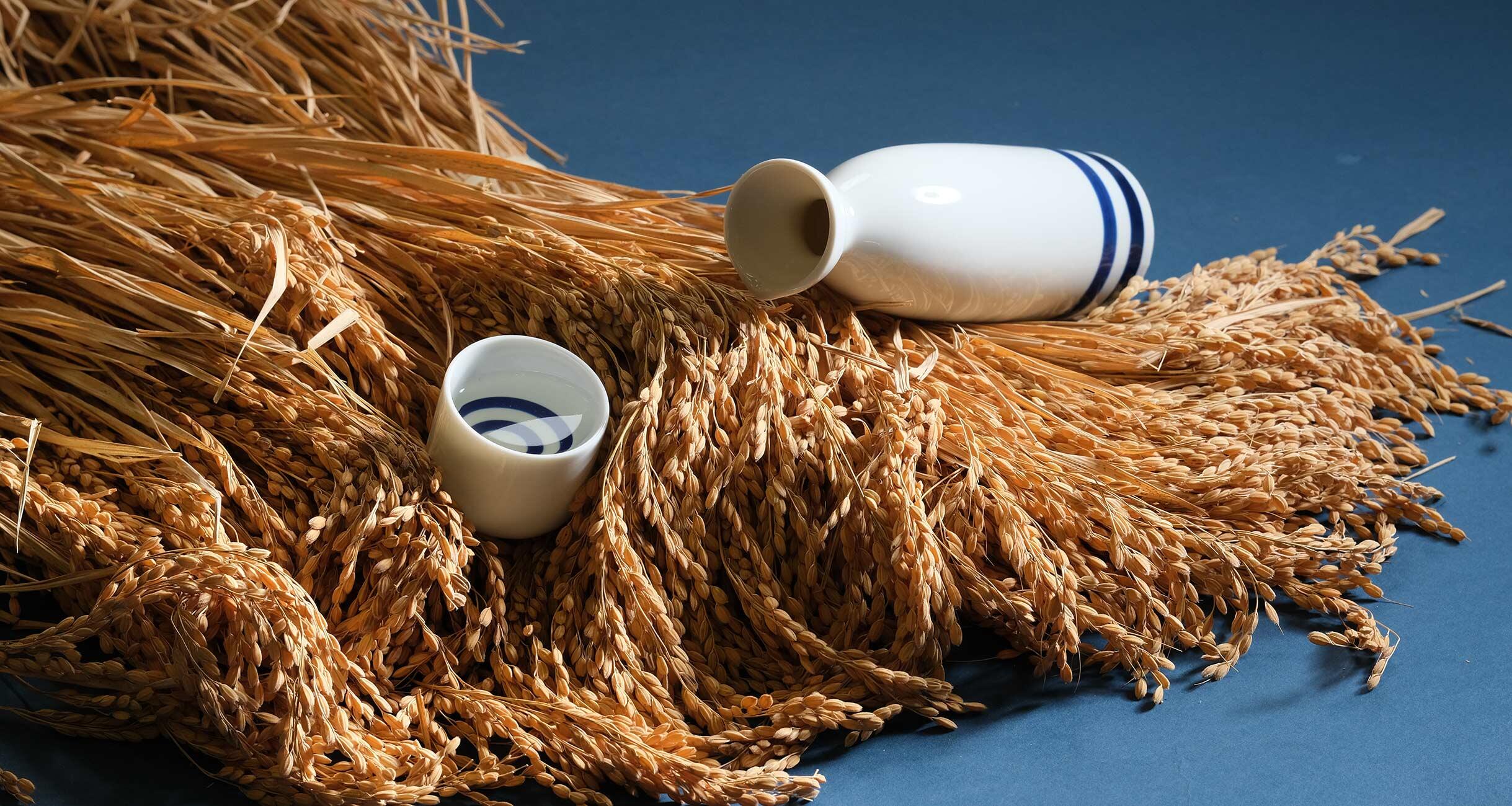 酒米を知れば、日本酒がもっと楽しく！