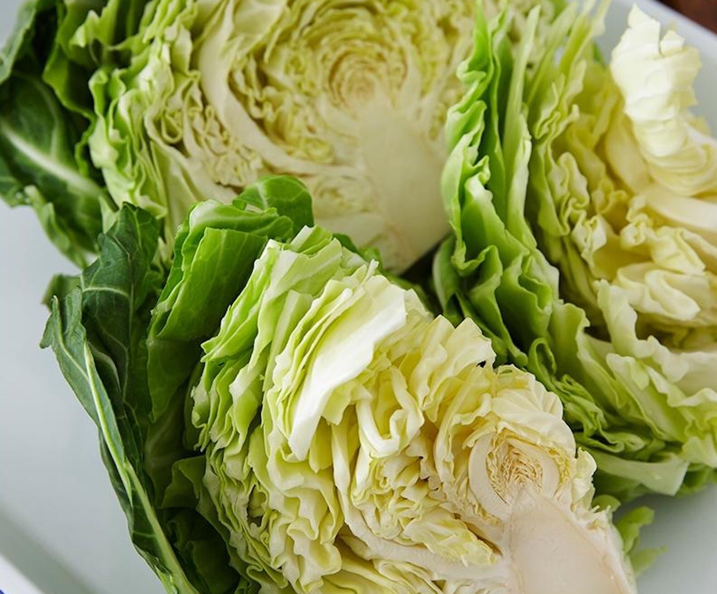 春キャベツ美味クッキング