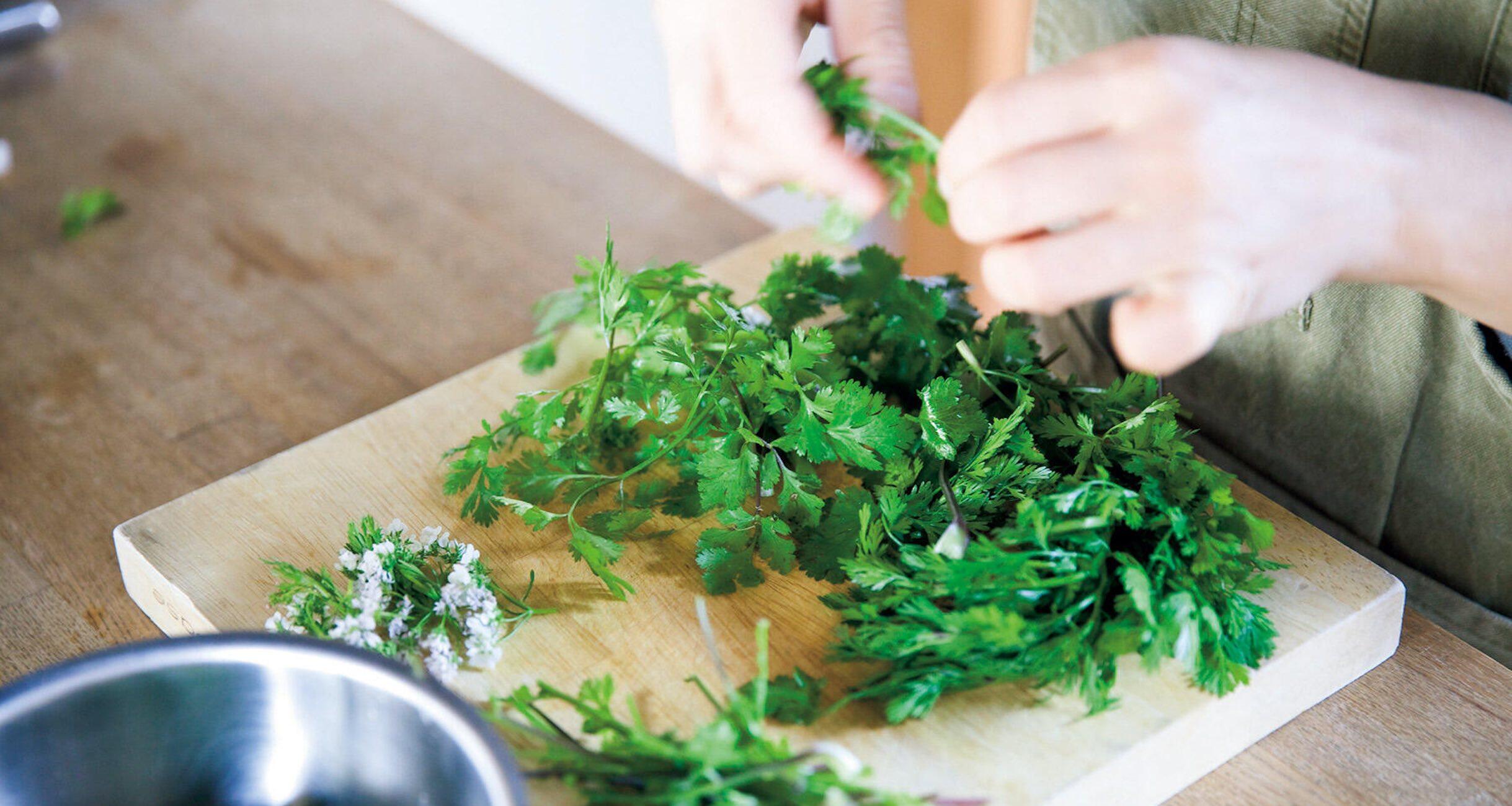 初夏の爽やかパクチーレシピ