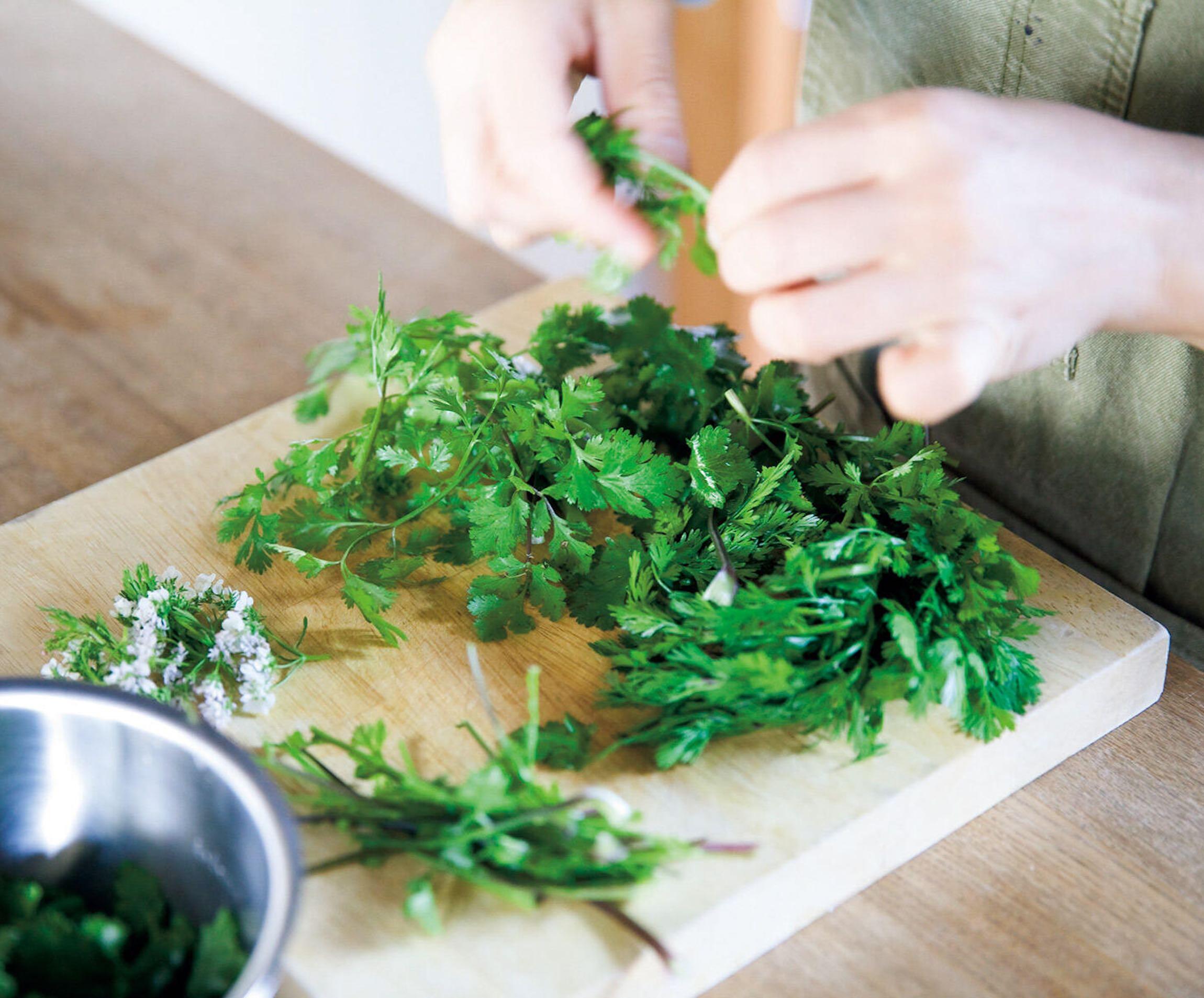 初夏の爽やかパクチーレシピ